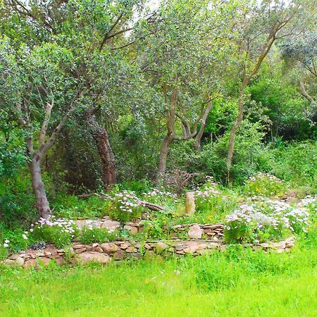 Agriturismo Sogno Latino Iglesias Dış mekan fotoğraf