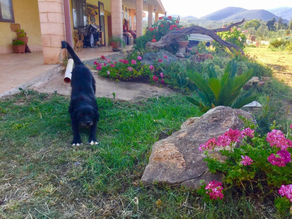 Agriturismo Sogno Latino Iglesias Dış mekan fotoğraf