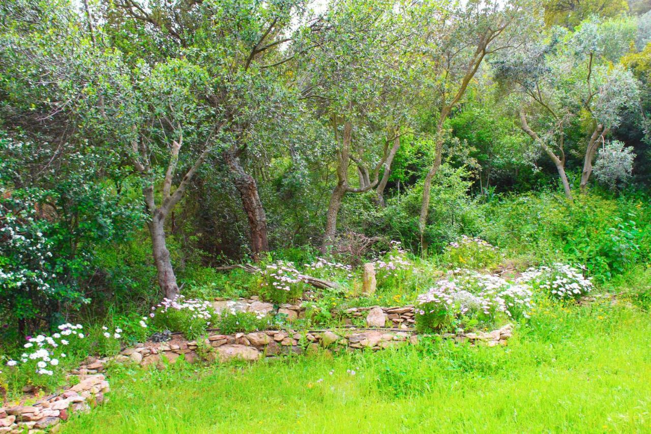 Agriturismo Sogno Latino Iglesias Dış mekan fotoğraf